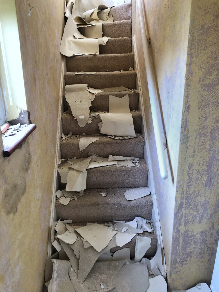 pieces of wallpaper stripped from the walls are scattered down some stairs
